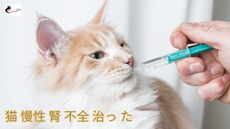 猫 慢性 腎 不全 治っ た