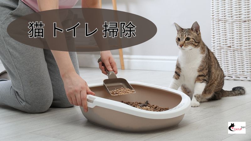 猫 トイレ 掃除