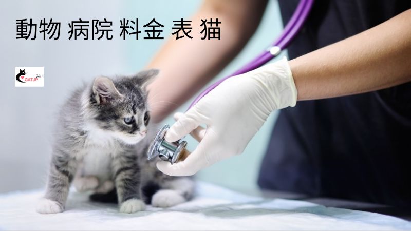 動物 病院 料金 表 猫